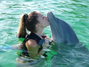 Delfinekkel úszás
