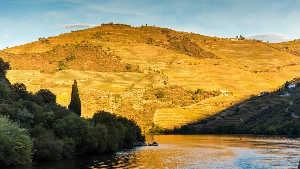 A Douro-völgy Portugália gyönyörű vidéke