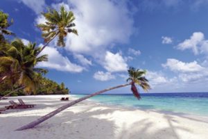 maldiv-filitheyo-island-resort-19