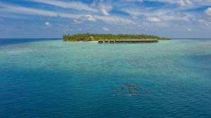 maldiv-filitheyo-island-resort-9